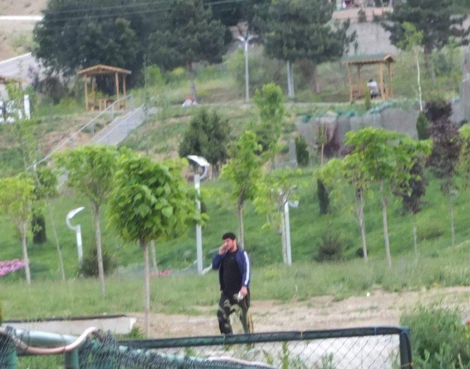 Böyle Hakem Görülmedi