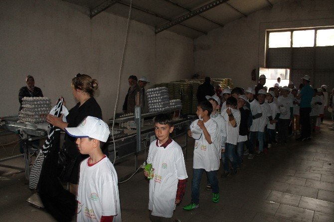 Bayburt’ta ’Lider Çocuk Tarım Kampı’ Sona Erdi
