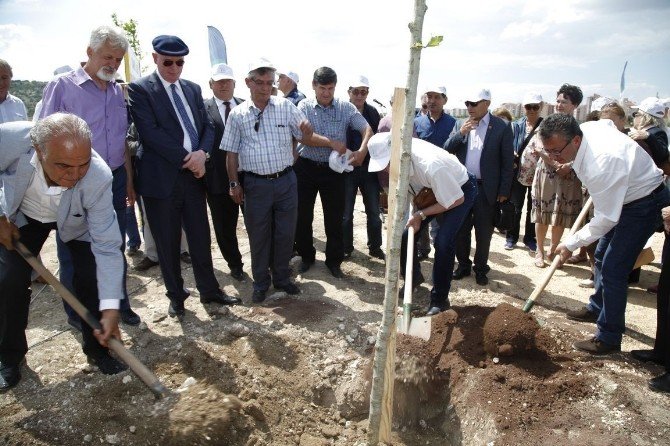 Hüseyin Mor’un Adı Hatıra Ormanı’nda Yaşayacak
