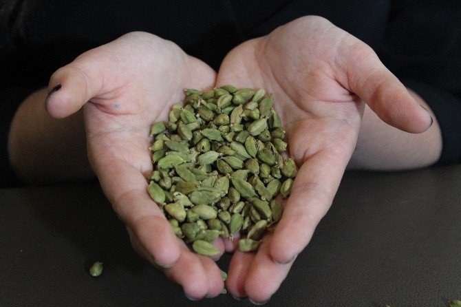 Ramazan Ayının Gözdesi; Kaküle