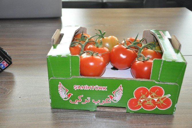 Sandıklı’dan Suudi Arabistan’a Domates İhracatı Yapılmaya Başladı