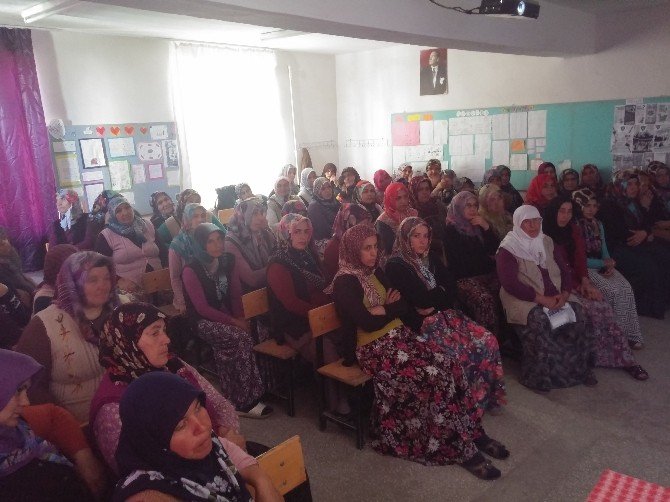 Topluma Hizmet Projesi