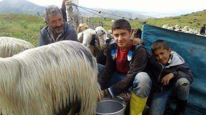 Teog Türkiye Birincisi Yine Çemişgezek’ten