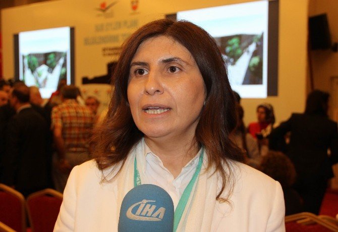 Ak Partili Mimarlardan ‘Sur Eylem Planı’ Değerlendirmesi