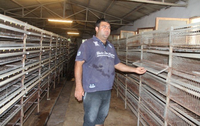 Türkiye’nin Tek Bıldırcın Üretim Çiftliğine Terör Darbesi