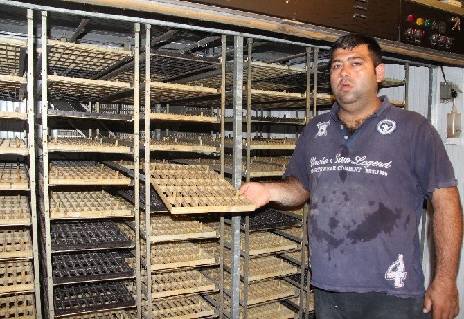 Türkiye’nin Tek Bıldırcın Üretim Çiftliğine Terör Darbesi