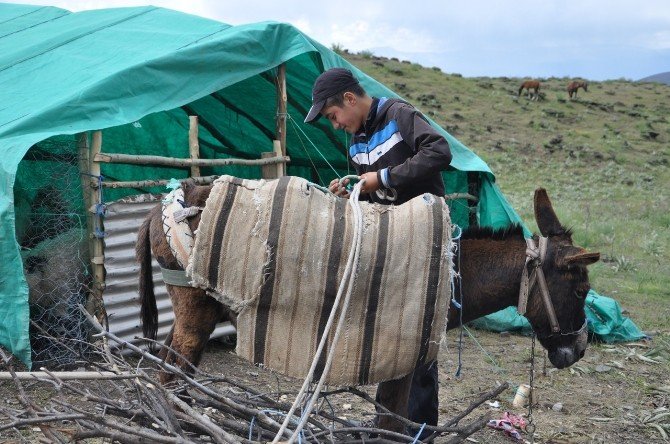 Tuncelili Çoban Mahir’in Teog Başarısı