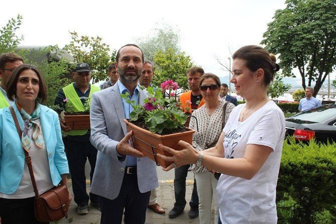 Ünye’de Balkonlar Çiçek Açacak