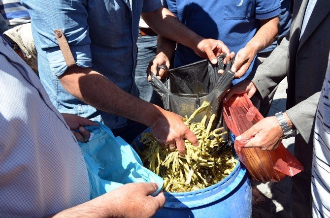 Jağ Turşusuna Yoğun İlgi