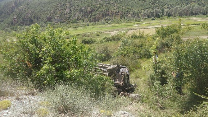Kamyonetiyle Çeltik Tarlasına Uçtu: 1 Yaralı