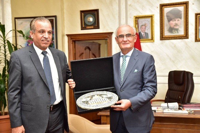 Ürdün-samsun Arası Direkt Uçuş Müjdesi