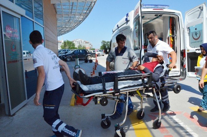 Bonzai İçen Genç Hastanelik Oldu