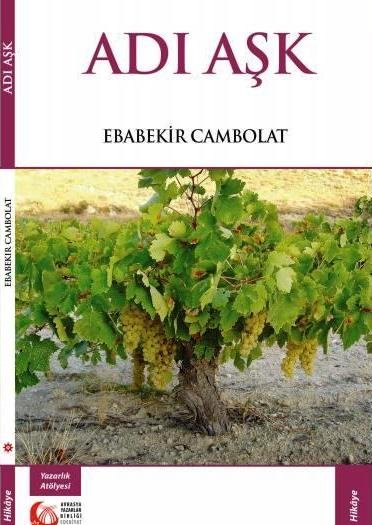 Genç Yazar Ebabekir Cambolat’ın Yeni Kitabı ’Hırsız’ Çıktı