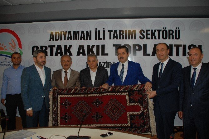 Bakan Çelik, Çalıştayın Değerlendirmesini Yaptı