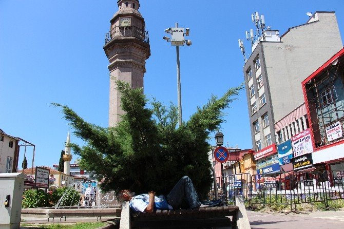 Sıcaktan Bunalanlar Gölgeye Sığındı