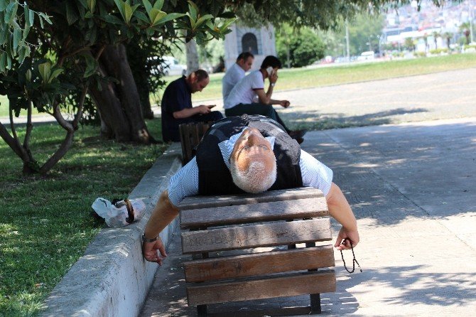 Sıcaktan Bunalanlar Gölgeye Sığındı