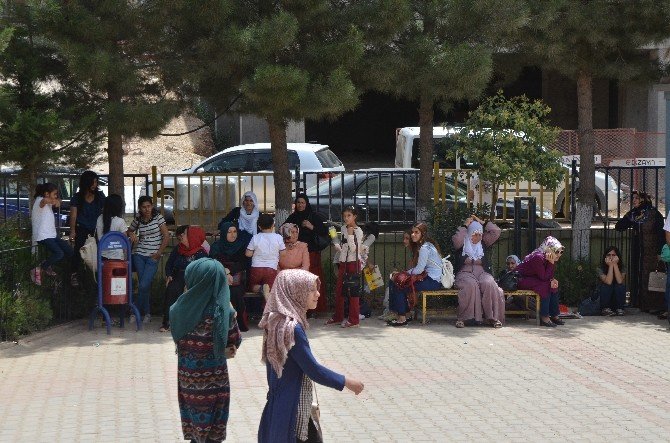 Nusaybinli Terör Mağduru Öğrenciler Mardin’de Sınava Girdi