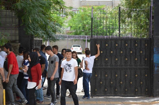 Diyarbakır’da Lys Heyecanı