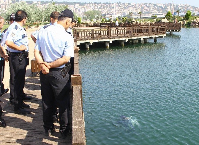 Samsun’daki Gölette Erkek Cesedi Bulundu