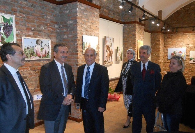 Eskişehirli Ressam Mahmut Sakı’nın Sene Sonu Resim Sergisi