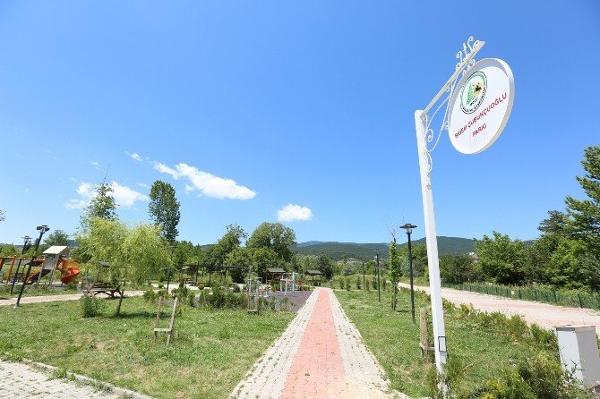 Üniversiteli Kızın Adın Bir Parkta Yaşayacak
