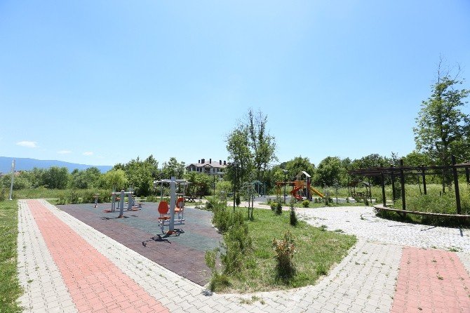 Üniversiteli Kızın Adın Bir Parkta Yaşayacak