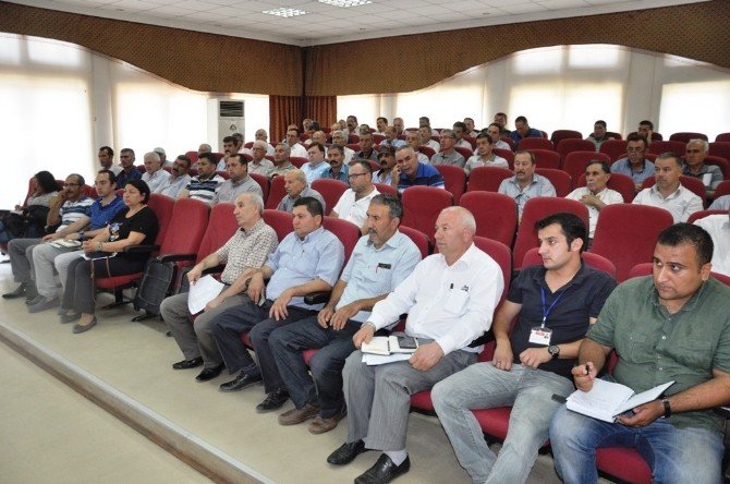 Deniz: "Lsd İçin Panik Yapmayın"