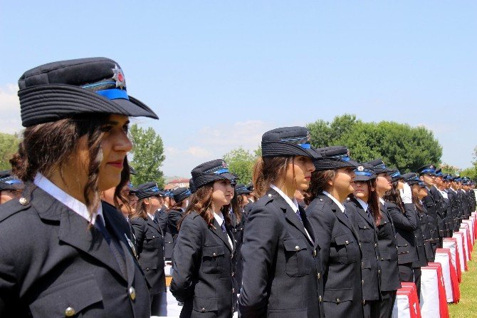 Polise 356 Taze Kan