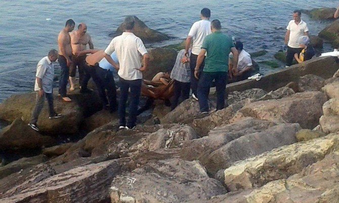 Fotoğraf Çekmek İsterken Denize Düştü