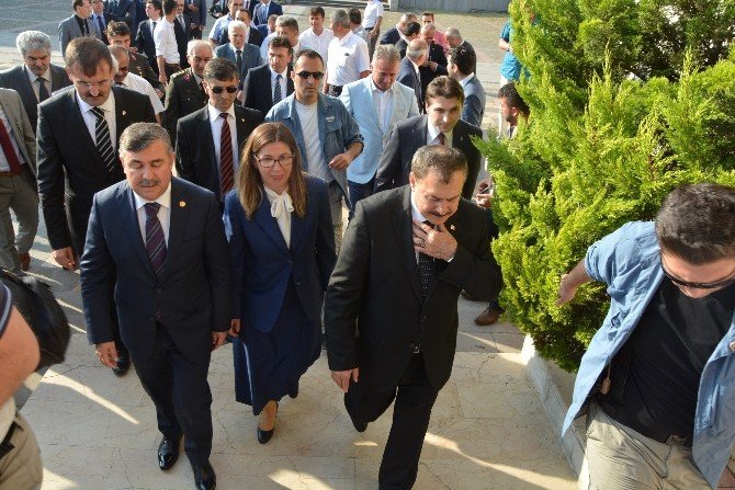 Bakan Veysel Eroğlu: “Sinop’a Heybemiz Dolu Geldik