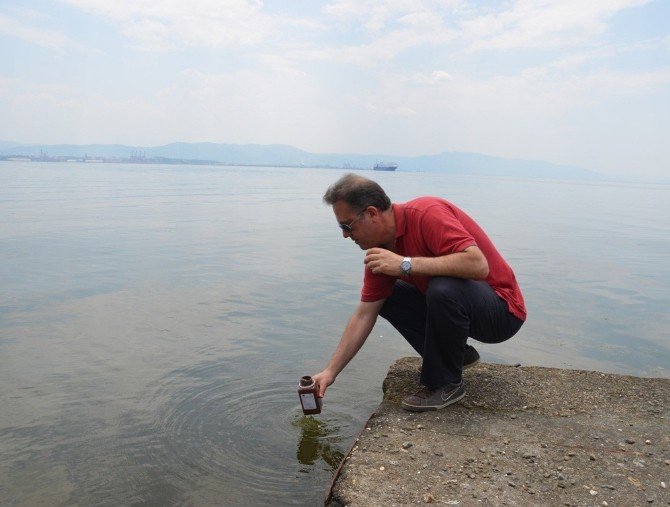 Bursa’nın Sahilleri Temiz Çıktı