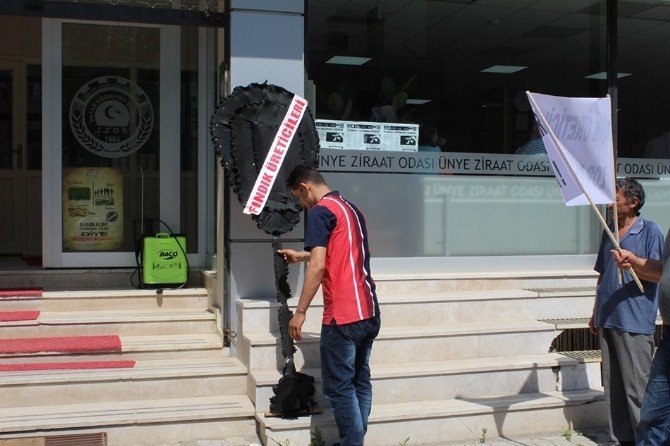 Üreticilerden Fındık Protestosu