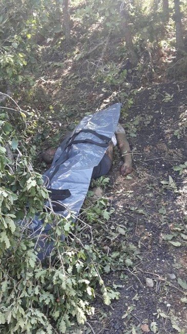 Tokat’ta Kamyon Uçuruma Yuvarlandı: 1 Ölü