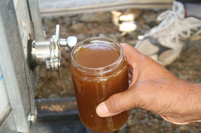 Marmaris’ten ’Bal’ Akıyor