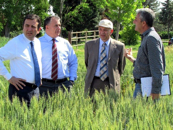 Tarsim Aydınlı Üreticinin Faaliyetlerini Yerinde İnceledi