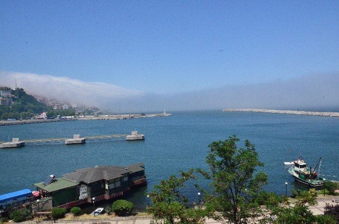 Zonguldak’ta Yoğun Sis