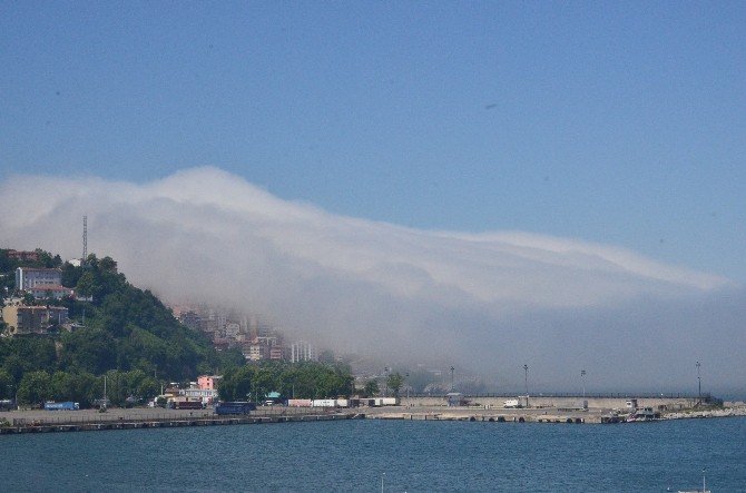 Zonguldak’ta Yoğun Sis