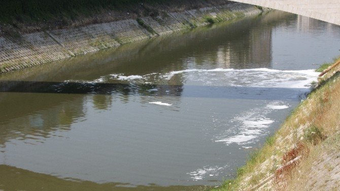 Asi Nehri Ab Gündemine Taşınıyor