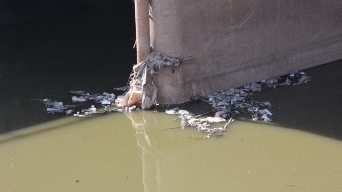 Asi Nehri Ab Gündemine Taşınıyor