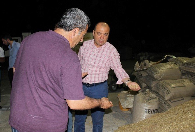 İtalyan Gıda Devi, Türkiye’nin Gururu Buğday Firmasıyla Ortak Çalışacak