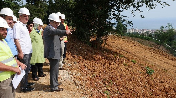 Botanik Bahçe Çalışmaları Hızla Devam Ediyor