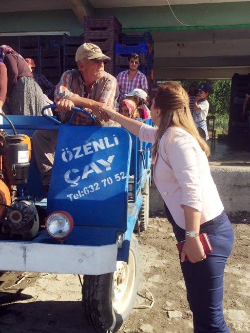 Chp Afyonkarahisar Milletvekili Burcu Köksal: