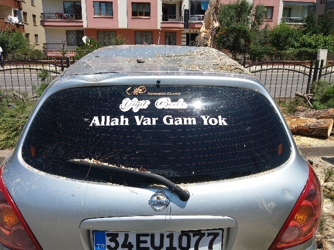 Otomobil Ağaca Çarptı: 2 Yaralı