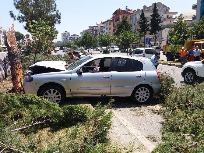 Otomobil Ağaca Çarptı: 2 Yaralı