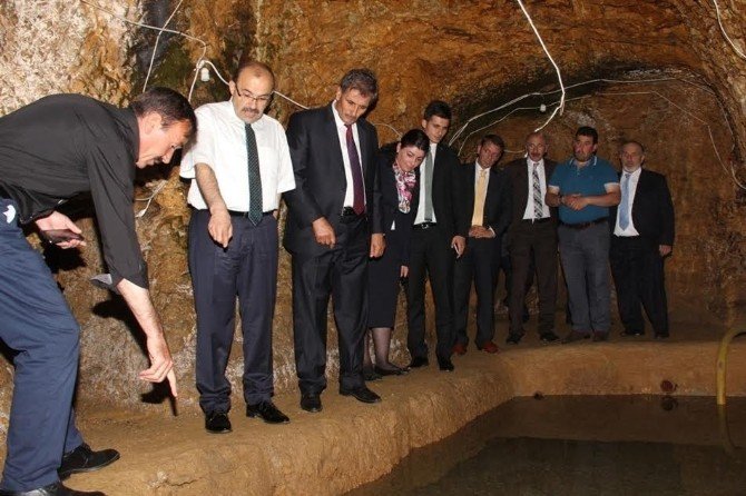 Vali Ustaoğlu:
