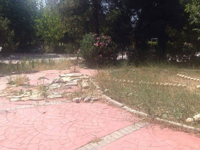 Bursa’da Yeşil Alanlar Çöplüğe Döndü