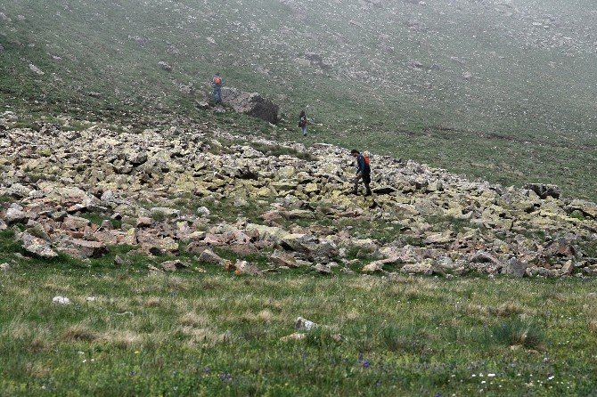 Artabel Gölleri Bölgesinin Sürüngen Çeşitliliği Araştırılıyor