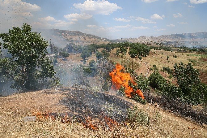 Diyarbakır Lice’de 4 Terörist Etkisiz Hale Getirildi