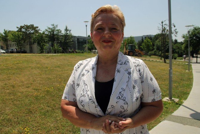 Enerji Açığına Karşı, Güneş Seferberliği Başlatılmalı