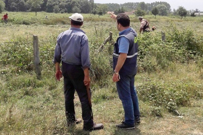 Düzce’de Ceviz Sahalarının Bakımları Devam Ediyor